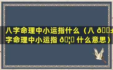 八字命理中小运指什么（八 🐱 字命理中小运指 🦉 什么意思）